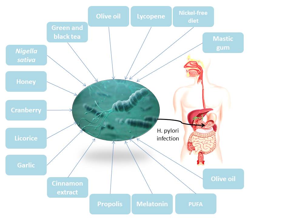 a-comprehensive-review-of-the-role-of-complementary-and-dietary-medicines-in-eradicating